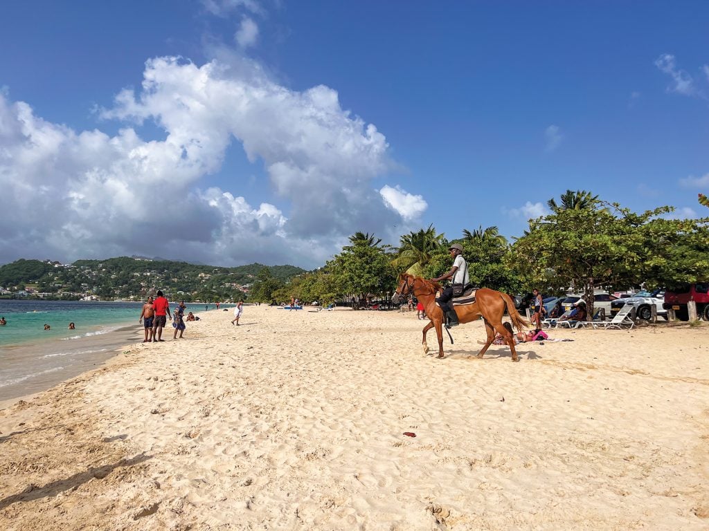 Vacationers and locals walk on foot — and on hoof — across the white sand of Grenada’s Grand Anse Beach near the site of the 50th Caribbean Lectureship.