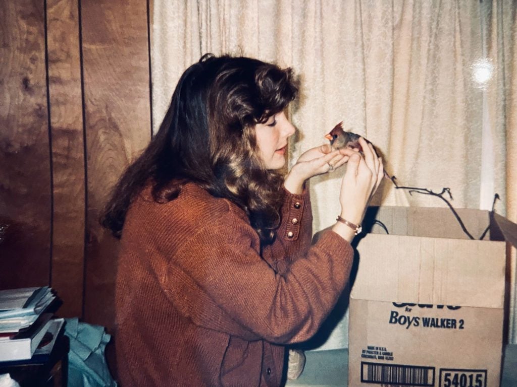 Carol Jackson, pictured at age 24, cares for an injured northern cardinal.