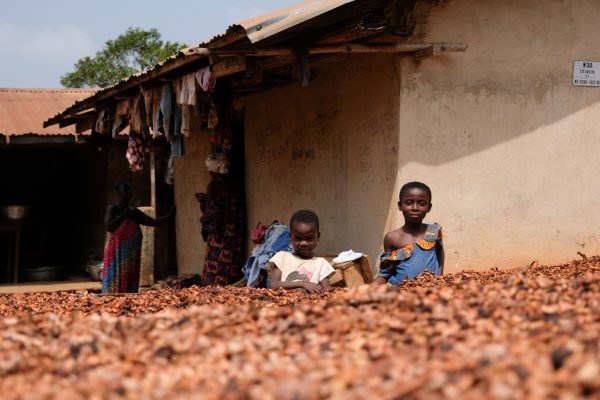 Children of a rural farmer in New Debiso, Ghana, stand beside drying cocoa beans harvested by their parents. 